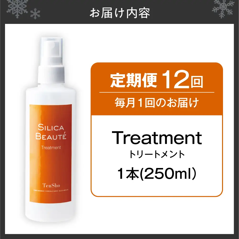 【12ヶ月定期便】シリカボーテ　トリートメント250mL | 化粧水トリートメント保湿 スキンケア 美容 北海道 札幌市