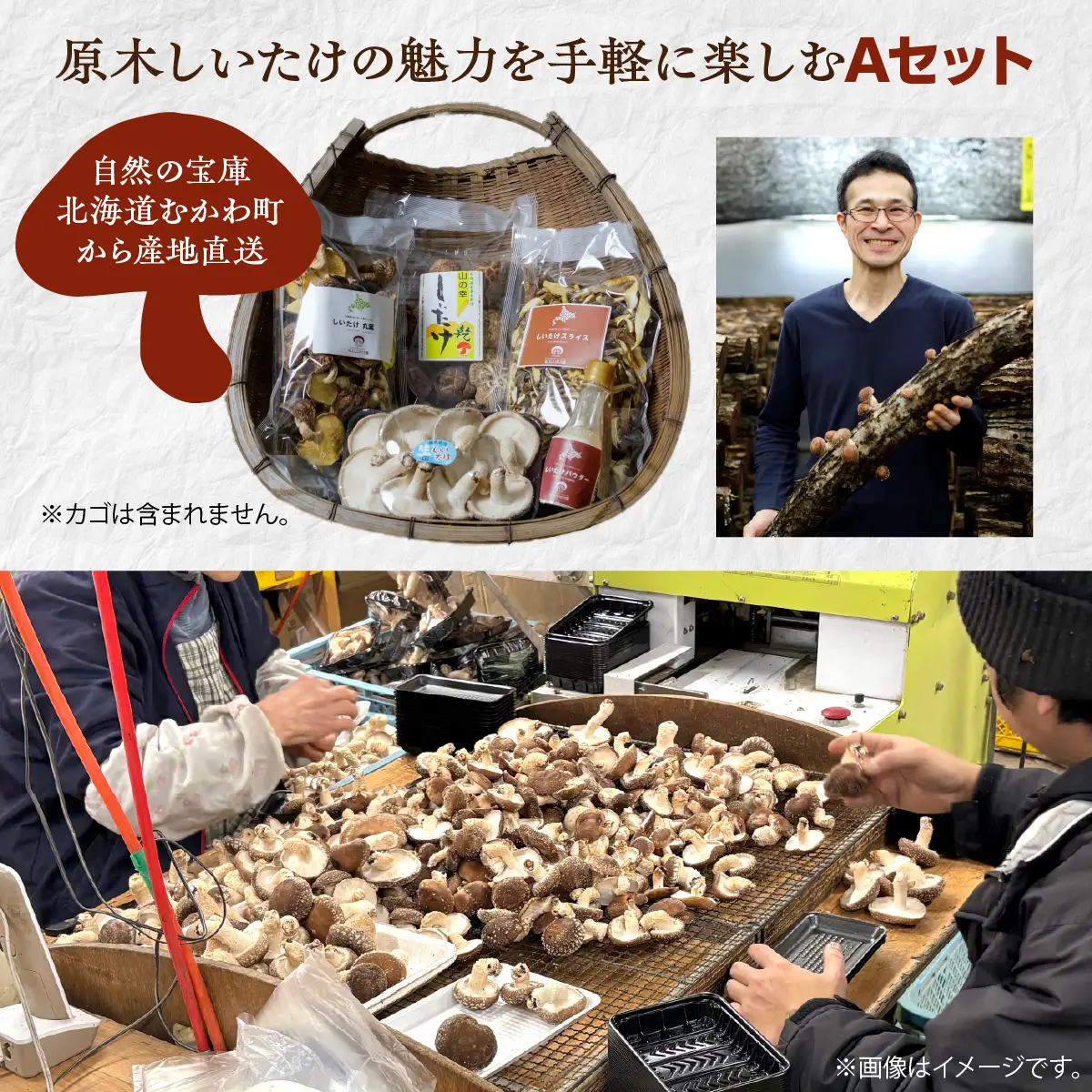 美味しさ詰まった貴重な原木しいたけ詰め合わせ　Aセット MKWN001
