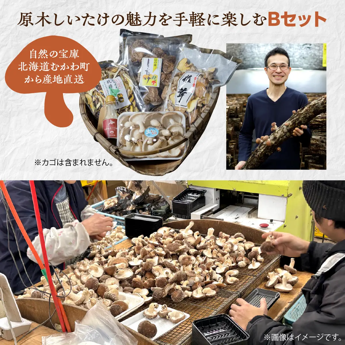 美味しさ詰まった貴重な原木しいたけ詰め合わせ　Bセット MKWN002