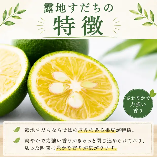 訳あり すだち 5kg すだち 【9月のみ発送】 徳島県産