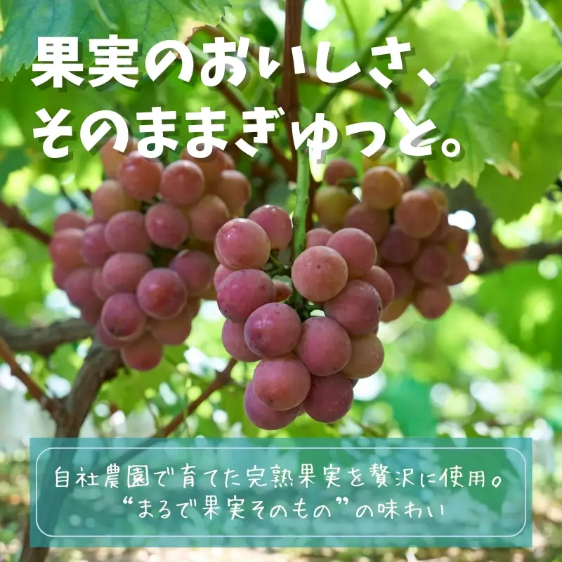 フルーツのジェラート6種セット 各120ml 12個