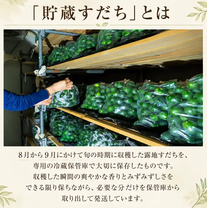 貯蔵すだち 500g すだち 【10月から2月末発送】 徳島県産