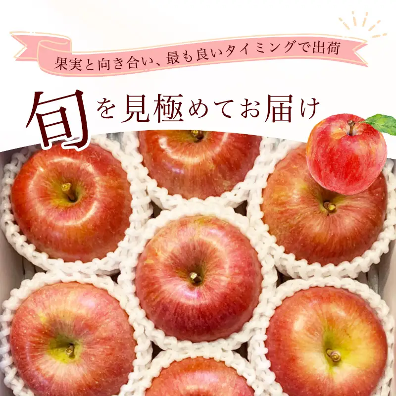 令和8年産 りんご ふじ 秀品 2kg 山形県産【2026年10月下旬頃から12月中旬頃発送予定】　009-B-RF013