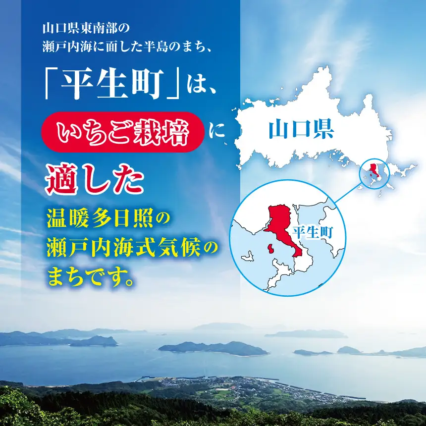【先行予約】弘津さんちの朝採りイチゴ さちのか約1㎏ ※令和9年1月中旬～3月発送