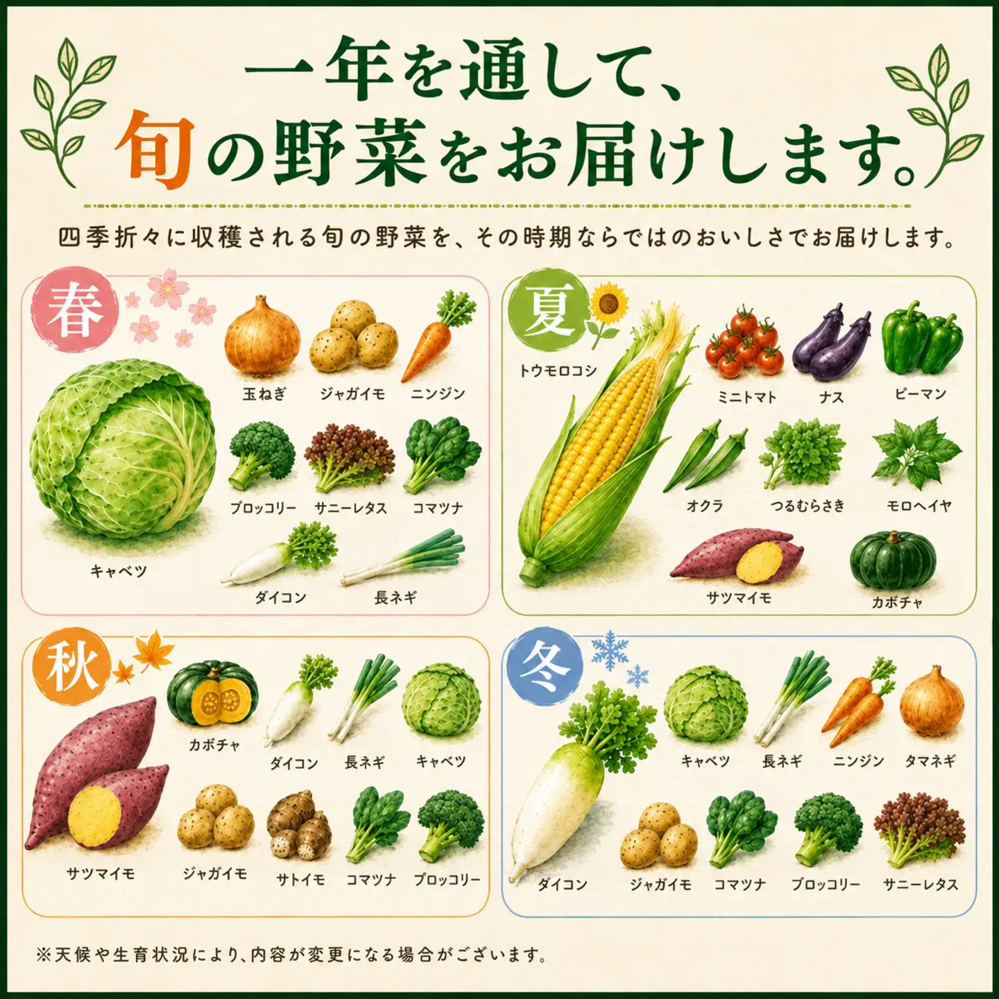 野菜セット 旬野菜 3～6品目