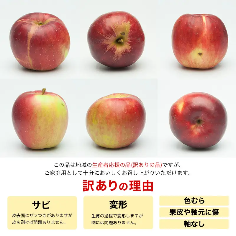 FYN6-594 ≪2026年先行予約≫ ご家庭・加工用 山形県産 りんご 紅玉 約2.5kg 2026年10月上旬から順次発送 中生種 早い 林檎 リンゴ こうぎょく 果物 くだもの フルーツ 秋果実 訳あり 加工用 家庭用 自宅用 農家 支援品 産地直送 期間限定 山形県 西川町 月山