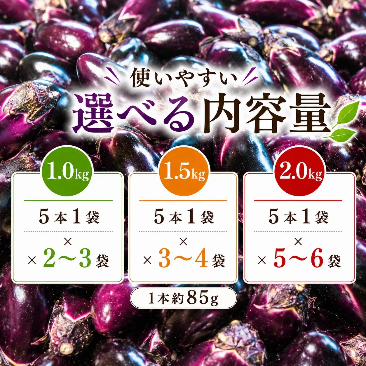 スピード発送【今が旬☆新鮮！朝どれナスをドドンと1.5kg ‼】期間限定 朝採れ 産地直送 おひさま農園 高知県 室戸市
