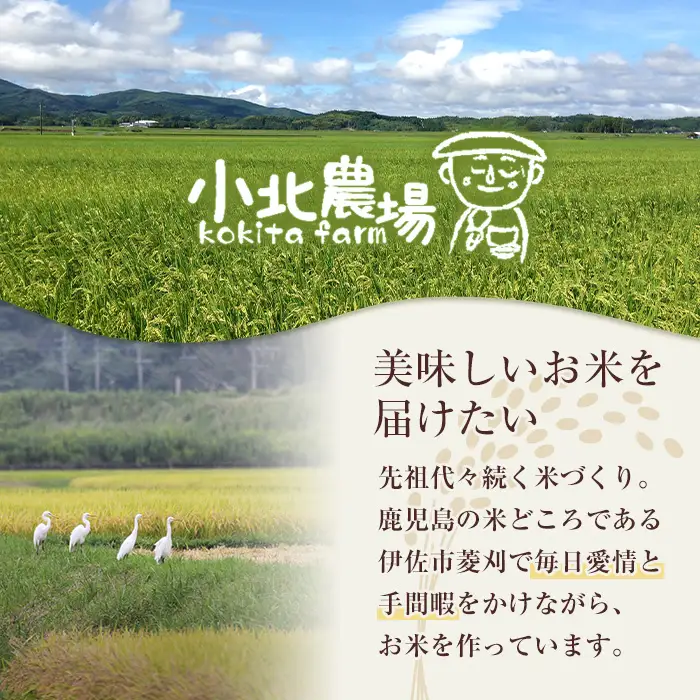 isa954 《数量限定》令和7年産 小北農場のお米 伊佐黄金米〈ヒノヒカリ〉(3kg) 鹿児島 伊佐 お米 特別栽培米 伊佐米 白米 ヒノヒカリ ひのひかり おにぎり ごはん 【小北農場】