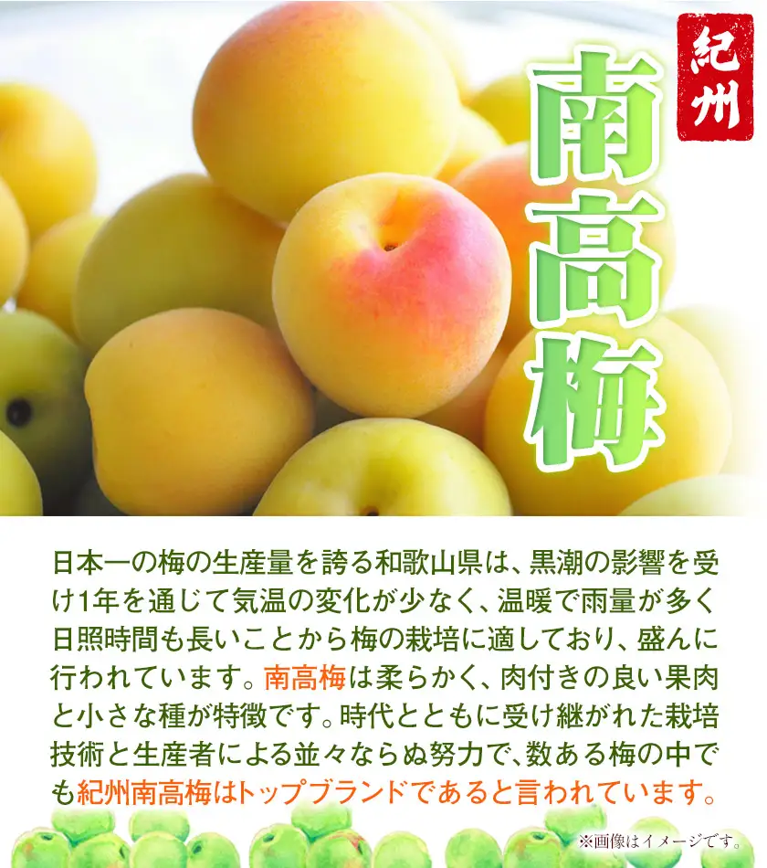 南高梅 tomato-ume とまと 梅 100g×4 有限会社プラム