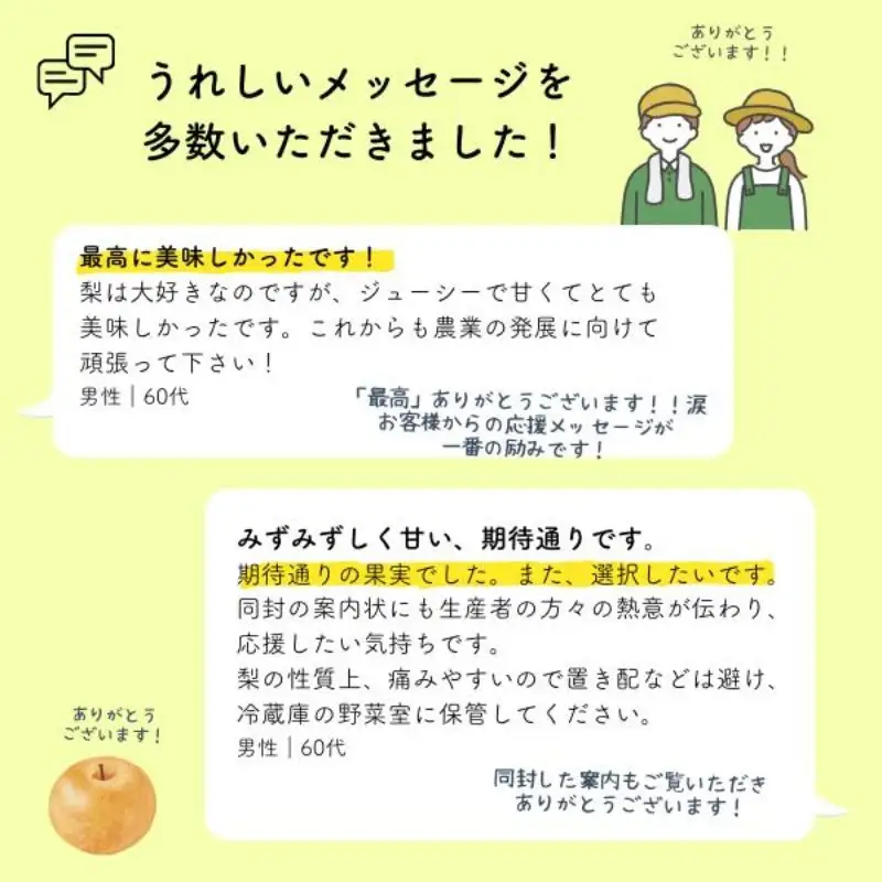 梨 幸水 約5kg（9～14玉） 松川町産 贈答／2026年8月中旬～配送 [KW08]//長野県 南信州 松川町 和梨 梨 なし ナシ 産地直送 農家直送 農家支援 贈答 幸水 果物 フルーツ