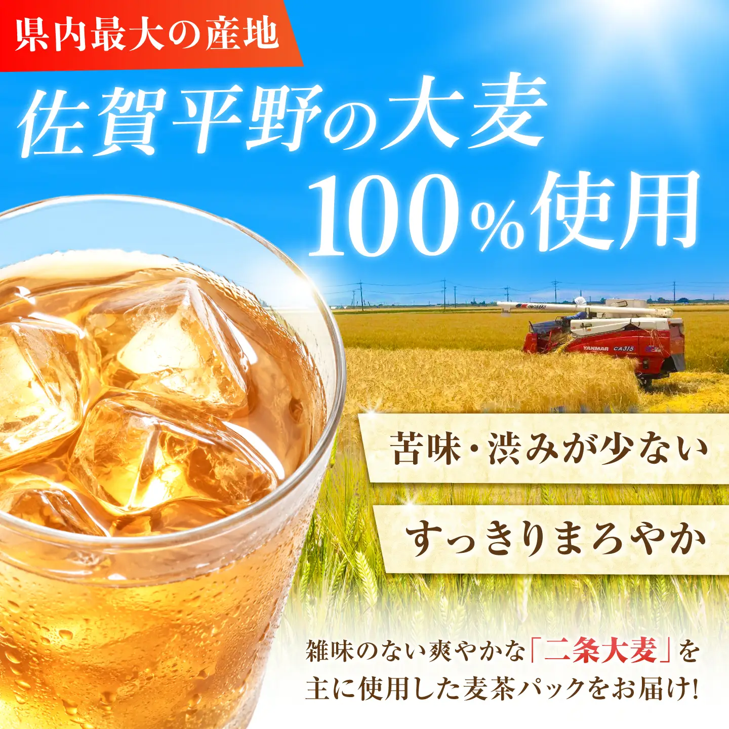 佐賀県産麦茶 312パック（10g×52パック×6袋） / ティーバック 麦茶 / 三栄興産株式会社[41ABAK002]