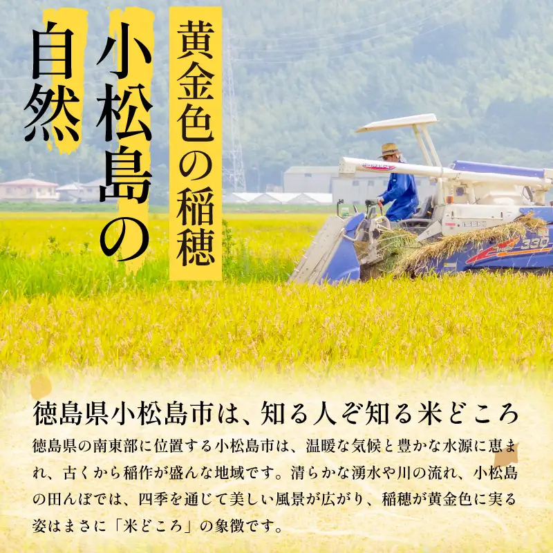 【9月から順次発送】新米 10kg にじのきらめき 令和8年産 コシヒカリ に匹敵 白米 ご飯 