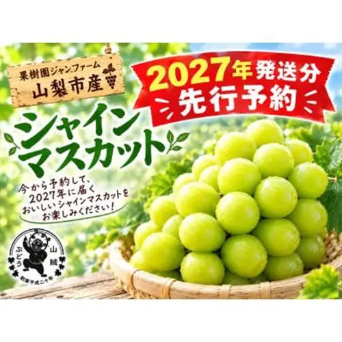 【2027年発送先行受付】山賊ぶどう シャインマスカット 3～4房(約2キロ)【配送不可地域：離島】【1761372】