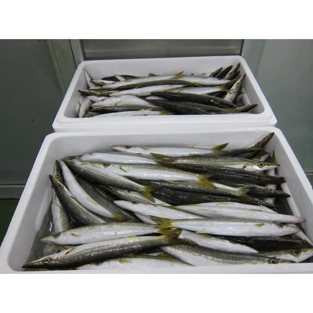 小田原かますのひもの詰合せ600g　SK-10