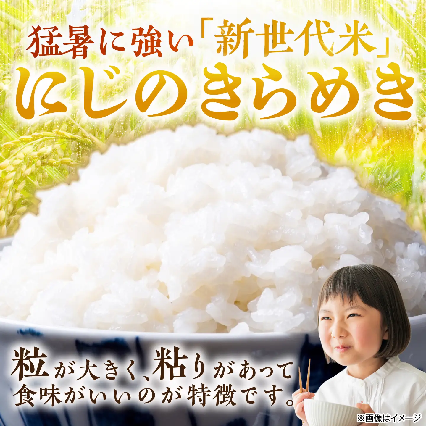 【先行予約/10月以降配送】【令和8年産】福井県 小浜産 にじのきらめき 米 10kg [BFDI004]