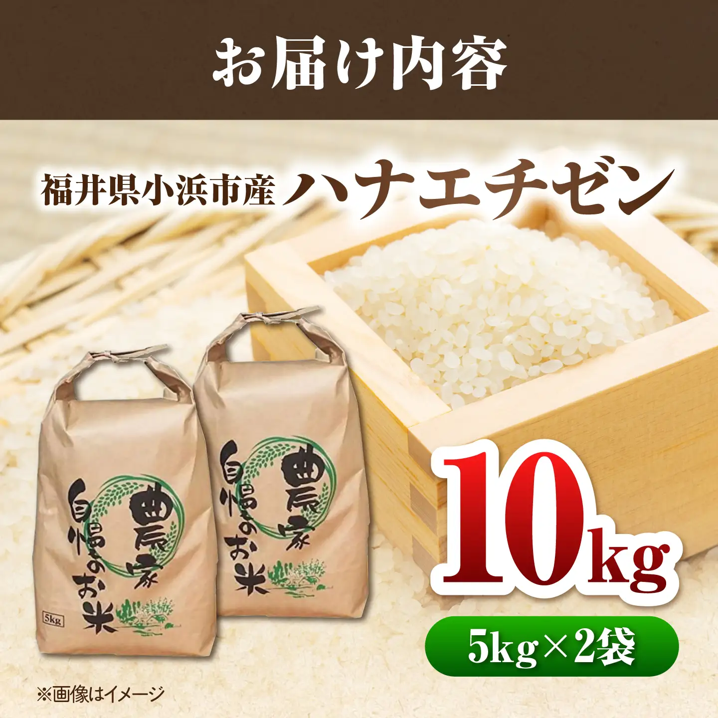 【先行予約/9月中旬以降発送】【令和8年産】小浜のハナエチゼン 米 10kg（5kg×2袋）市左衛門米屋 / 小浜市 [BFEN002]
