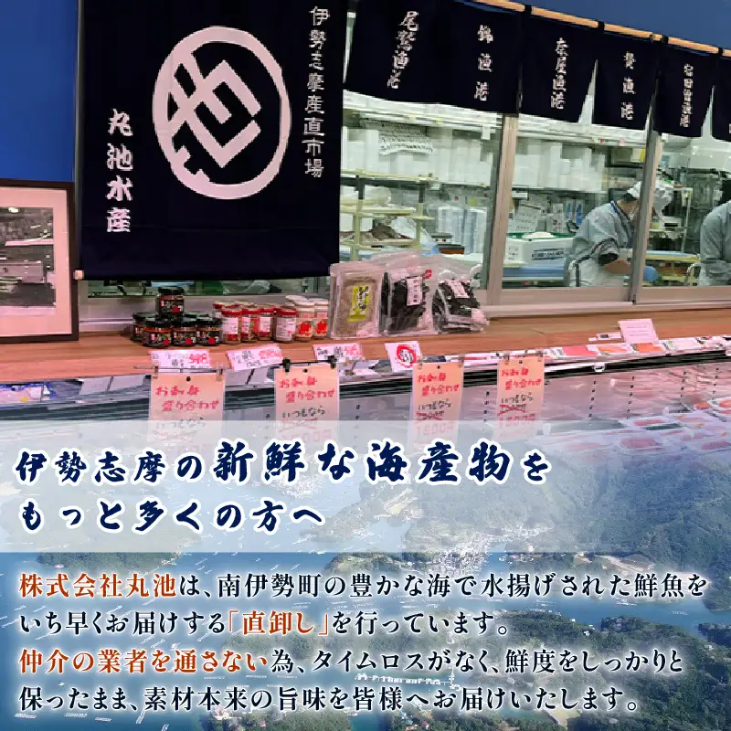 (冷蔵) おまかせ 鮮魚セット 2～3人前 鮮魚 海鮮 セット 海の幸 魚介 詰め合わせ 食べ比べ グルメ 魚 伊勢志摩 三重県 南伊勢町 丸池 18000円 20000円以下 2万円以下 二万円以下
