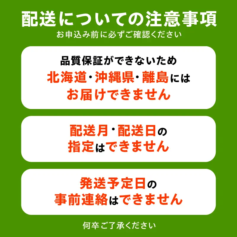 訳あり 冷凍 大粒ブルーベリー 1kg