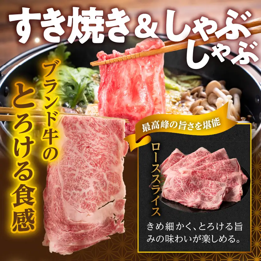 宮崎牛ローススライス&バラエティ焼肉1kgセット〔AE-89-010〕_(都城市)