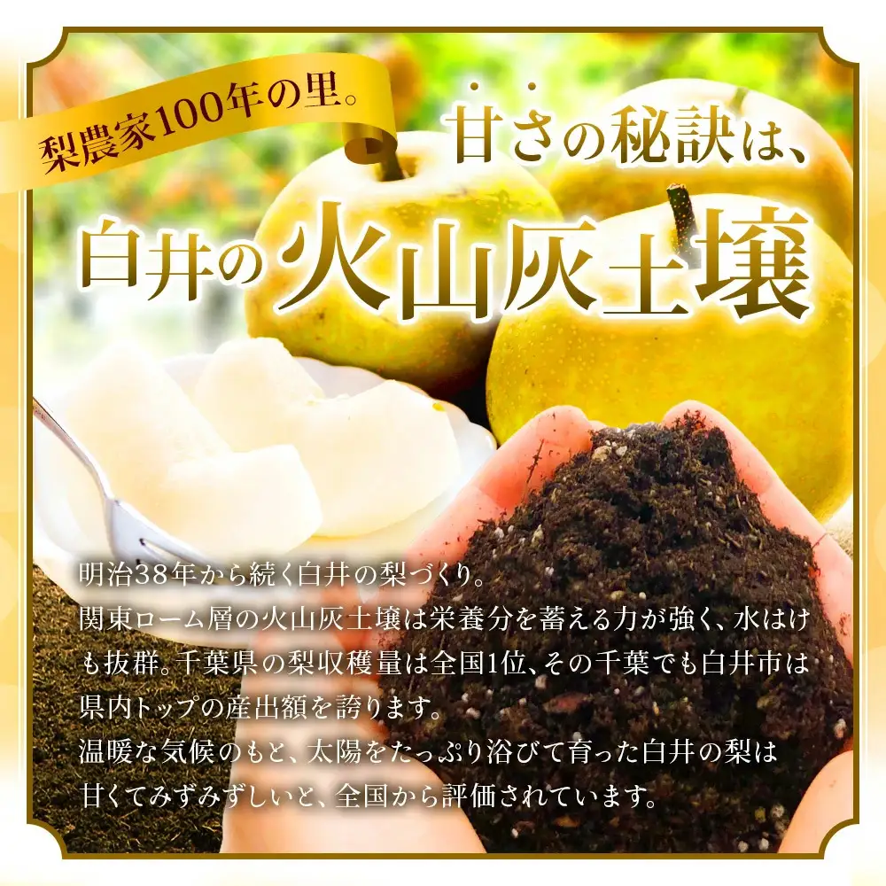 幸水3kg 贈答用