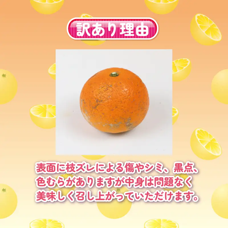 訳あり ネーブル オレンジ 約 2kg くり房 オレンジ B010-204008