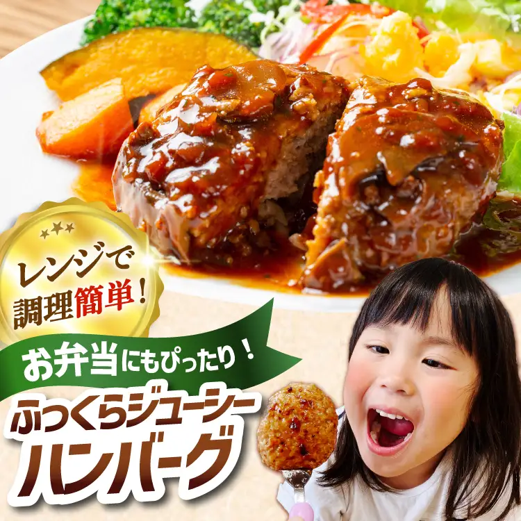 6回 定期便 レンジで簡単 ハンバーグ 60g 50個 総計 300個 総重量 18kg