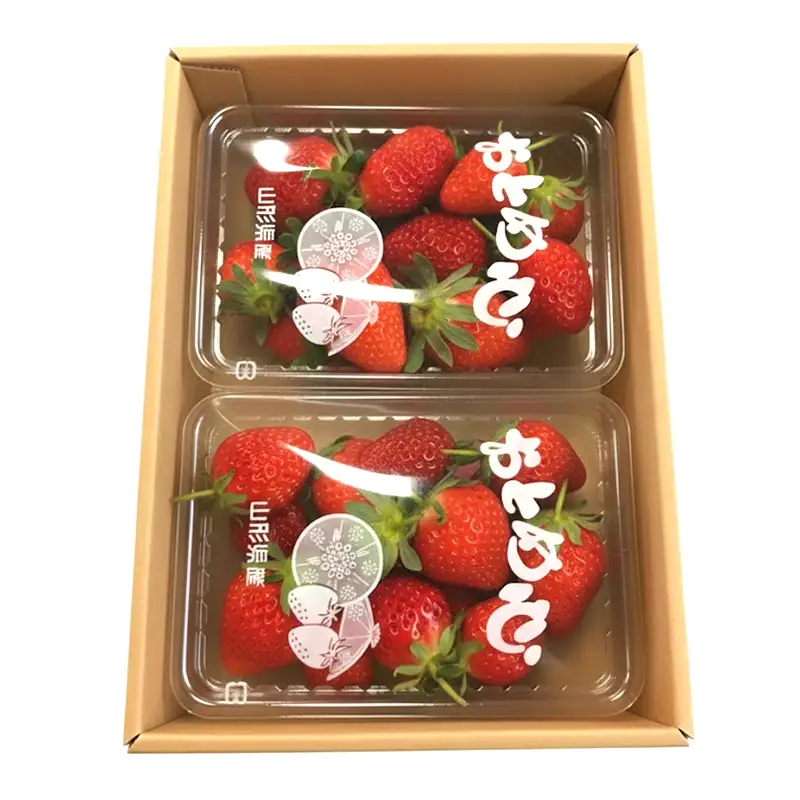 【2027年先行予約】山形県産 いちご・おとめ心 250g×2P FSY-2844
