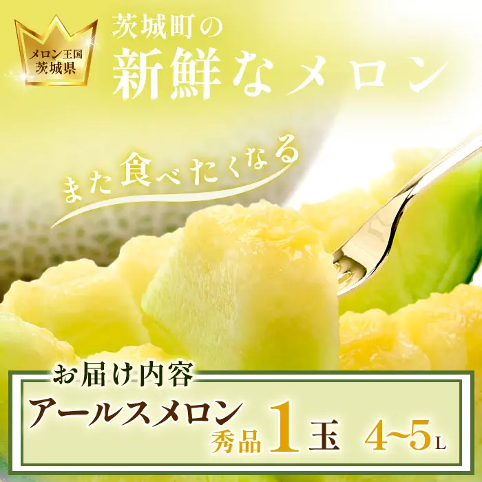 768 アールスメロン 秀品1玉（4L～5L）茨城県 JA水戸 フルーツ 果物