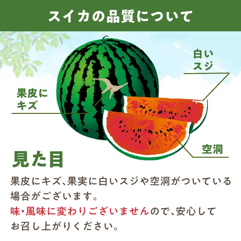 紀州ひとりじめ(小玉スイカ) 2玉（M～Lサイズ） 3kg程度 ≪家庭用≫【配送不可地域：北海道・青森・秋田・岩手・沖縄・離島】【1341】