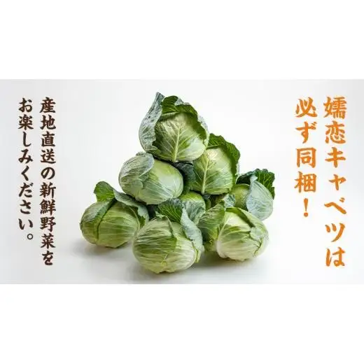 【 2026年 8月上旬 発送開始 】キャベツ 入り！農家さんが選んだ 新鮮 高原 野菜 セット 1～2人様向け 先行予約  キャベツ 群馬 野菜 セット 産地直送 詰め合わせ アソート 期間限定 少量 [AN001tu]