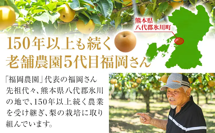 梨 贈答用 あきづき 約3.5kg 梨 熊本