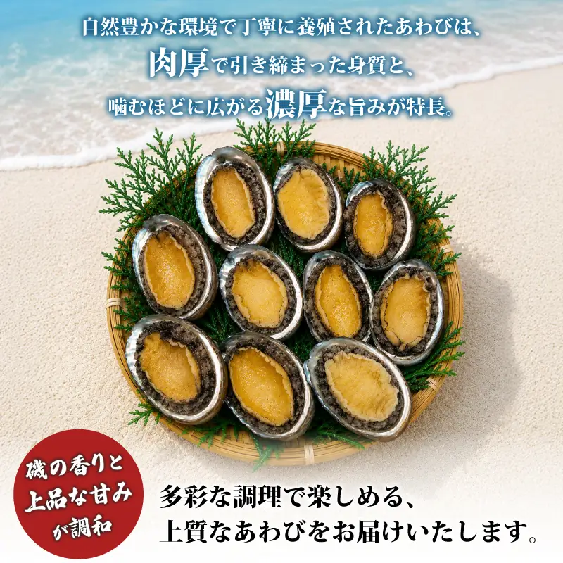 冷凍あわび 8～14枚 下関 山口 《さわ水産：SW》