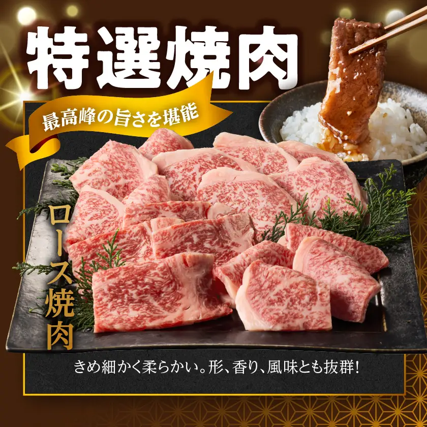 宮崎牛ロース焼肉500g〔17-89-015-500g〕_(都城市)