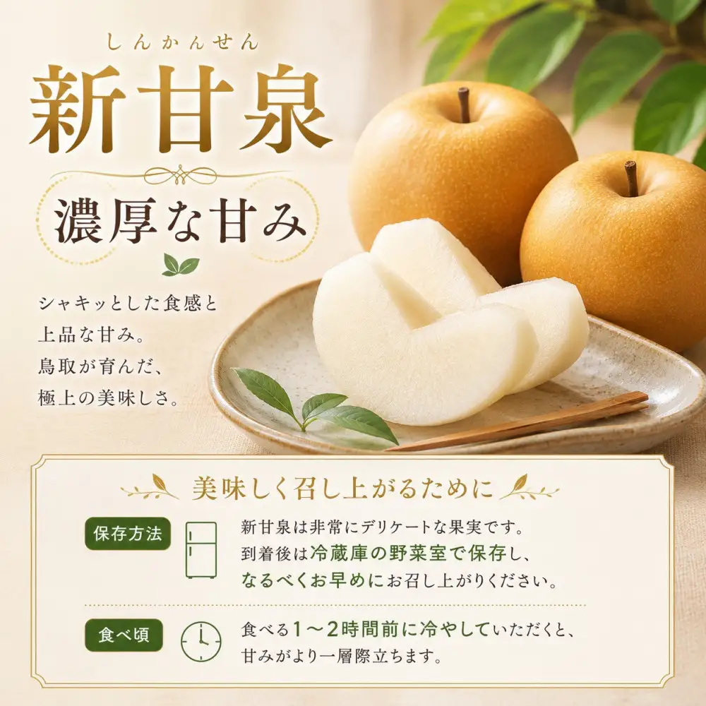 山根農園 新甘泉 2kg【2026年8月下旬以降発送】