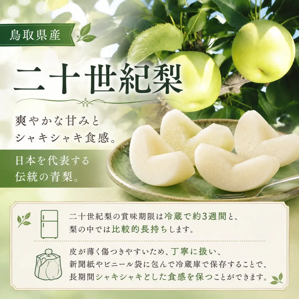 山根農園 二十世紀梨 2kg【2026年8月下旬以降発送】