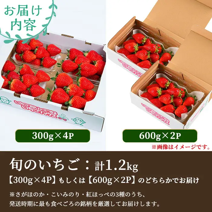 【訳あり】旬のいちご 1.2kg （さがほのか、こいみのり、紅ほっぺ）【01-087-02】