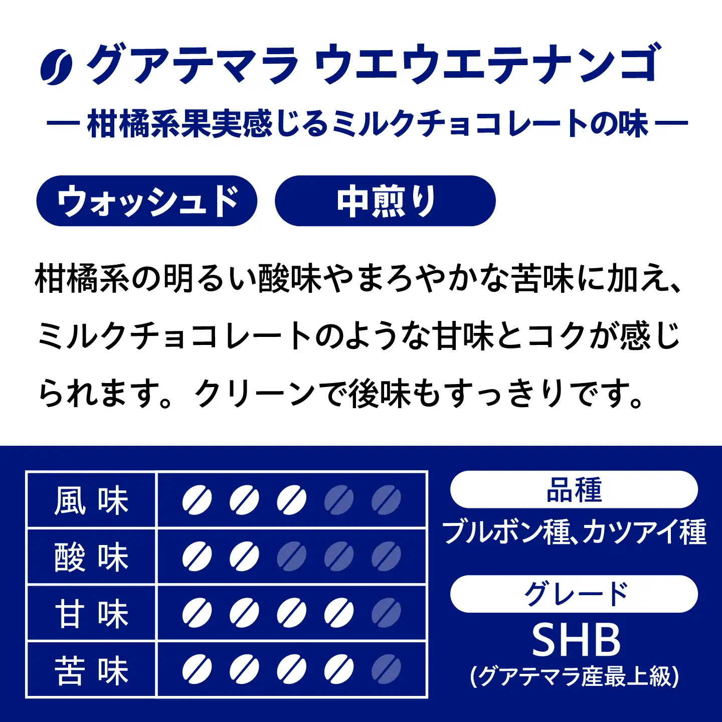 【自家焙煎】コクと深みのコーヒー 2種セット 糸島市 / 楽峰珈琲ロースター / コーヒー / セット[ALR002]