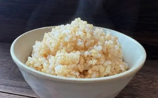 【新米先行予約】 令和8年産 銀河のしずく 10kg 玄米 岩手県オリジナルブランド