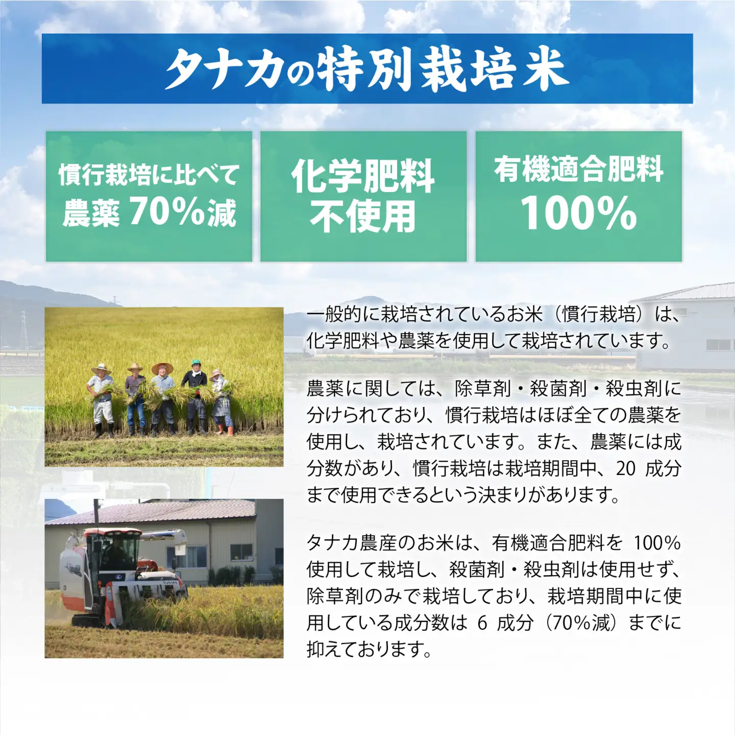 特別栽培タンチョウもち米使用 よもぎもち 合計18個 / 餅 餅 [A-020026]