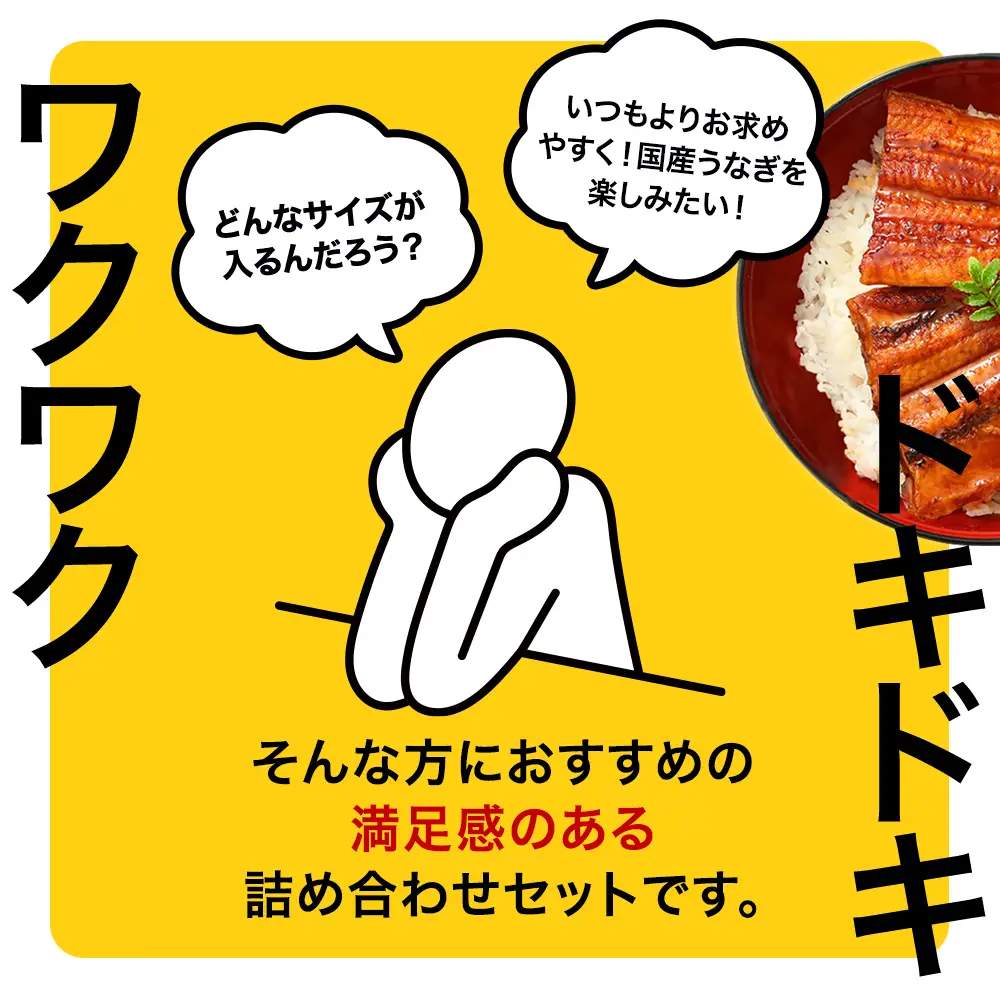 国産 うなぎ 蒲焼き ガチャ 福袋 500g入 うなぎ 鰻 (B1154-1)