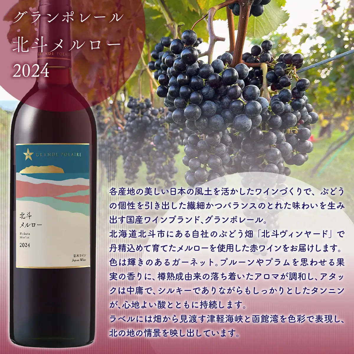 【数量限定】グランポレール 北斗メルロー2024 ワイン 750ml 1本 HOKJ013 | ワイン