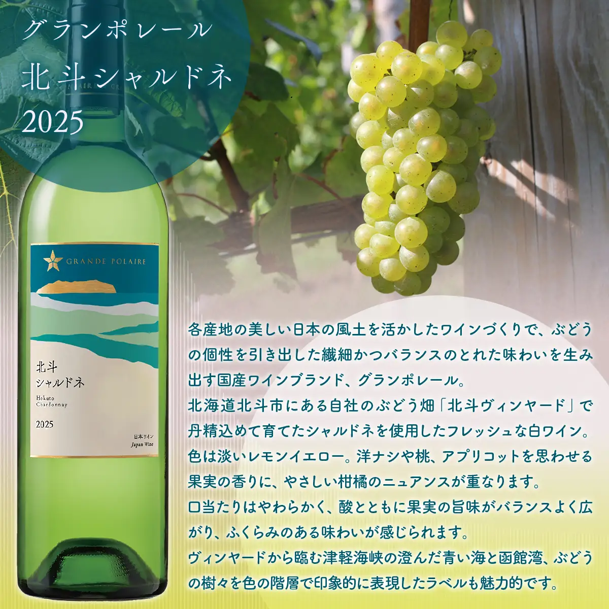【数量限定】グランポレール 北斗シャルドネ2025 ワイン750ml 1本 HOKJ014 | ワイン