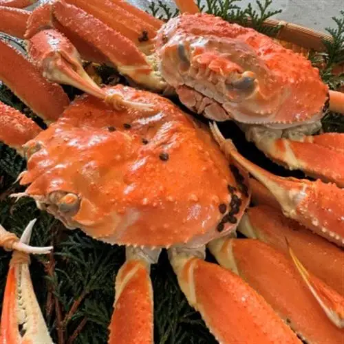 【さかなや新鮮組】鳥取県産 訳あり 浜茹で松葉ガニ1.0kgセット ご家庭用 漁港直送【配送不可地域：離島・北海道・沖縄県・東北・信越、北陸】【1759406】