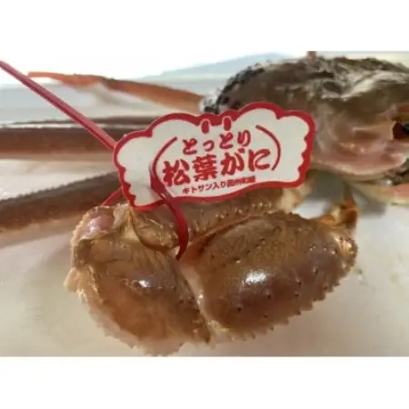 【さかなや新鮮組】鳥取県産 ブランドタグ付き 浜茹で 極上松葉ガニ(1.0kg以上) 1枚【配送不可地域：離島・北海道・沖縄県・東北・信越、北陸】【1759411】