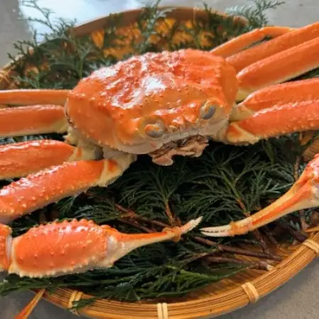 【さかなや新鮮組】鳥取県産 訳あり 浜茹で松葉ガニ(大)800g以上 1枚 漁港直送【配送不可地域：離島・北海道・沖縄県・東北・信越、北陸】【1759535】