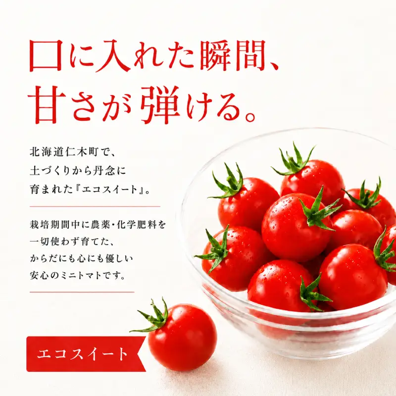 2027年発送 先行受付[栽培期間中 農薬・化学肥料不使用] 北海道 仁木町産 ミニトマト エコスイート 1.2kg×1箱 サイズ混載 トマト 野菜 [Farm Watanabe]