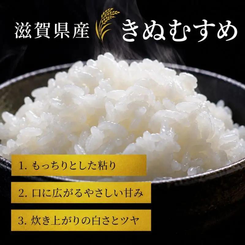 【令和8年産】 米 近江米 白米 5kg 先行予約 新米 きぬむすめ 精米 こめ コメ お米 ご飯 キヌムスメ 5キロ 度産 令和八年産 滋賀県 豊郷町