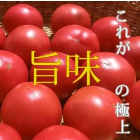 完熟トマト 1.5kg 11玉前後 栽培期間中農薬不使用 岩手県遠野市 遠野もぐもぐカントリー【配送不可地域：離島】【1763111】