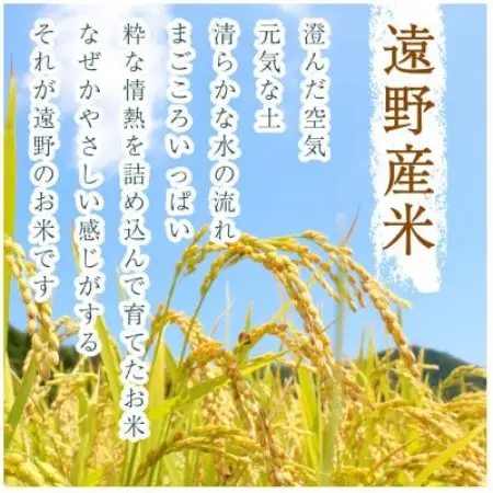 【毎月定期便】無洗米 岩手県 遠野市産 ひとめぼれ 5kg 【 コメマルシェ 河判 】全3回【4089941】
