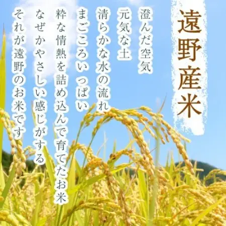 【毎月定期便】〈無洗米〉岩手県 遠野市産 あきたこまち 10kg 【 河判 】全12回【4089981】